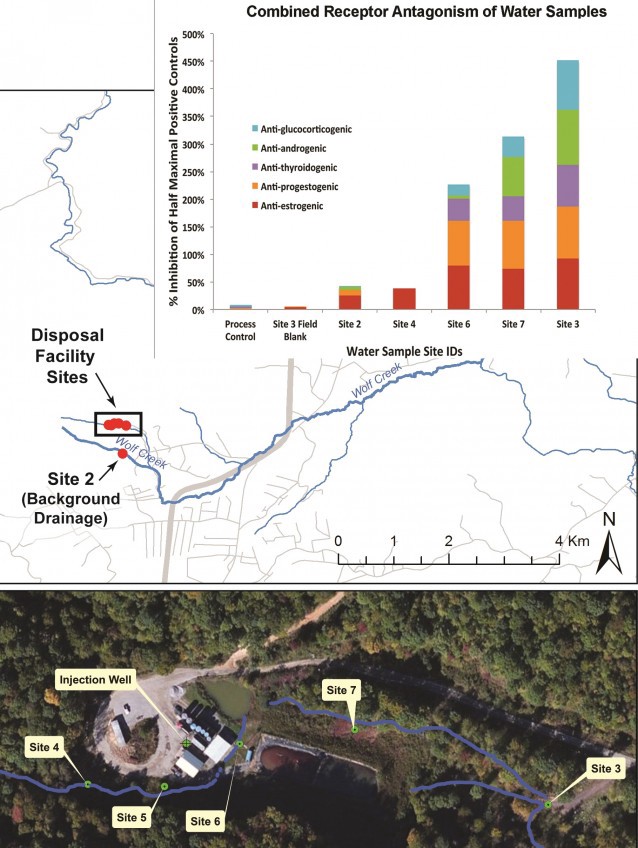 Elevated levels of endocrine disruptive chemicals were found directly across and downstream from the fracking disposal site. CREDIT: Christopher D. Kassotis
