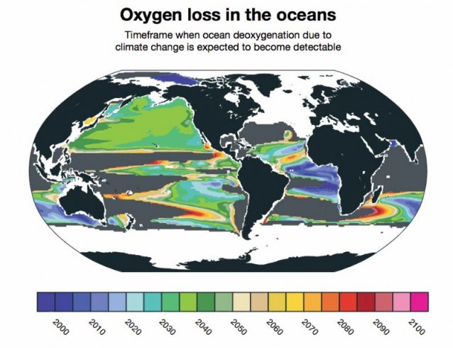 Deoxgenation due to climate change is already detectable in some parts of the ocean. New research from NCAR finds that it will likely become widespread between 2030 and 2040. Other parts of the ocean, shown in gray, will not have detectable loss of oxygen due to climate change even by 2100. CREDIT: Image courtesy Matthew Long, NCAR