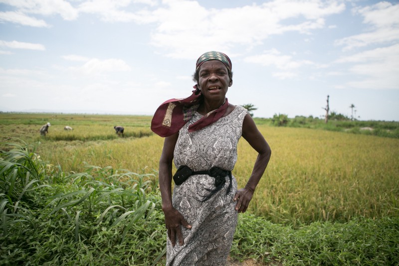 Mirene Raymond has farmed rice in Haiti for decades, but she says she has never seen conditions quite so bad, April 2016. CREDIT: MEGHAN DHALIWAL FOR THINKPROGRESS