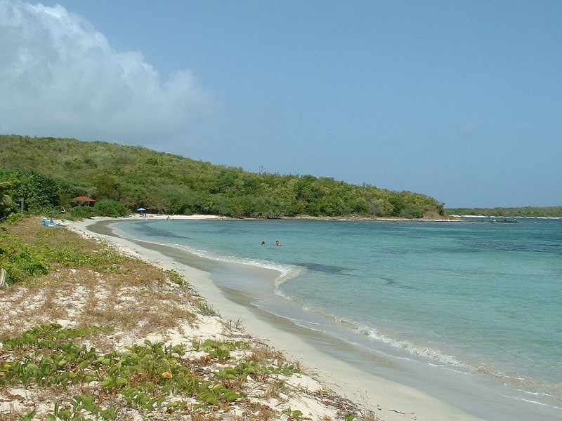 Vieques National Wildlife Refuge. CREDIT: WIKIMEDIA COMMONS