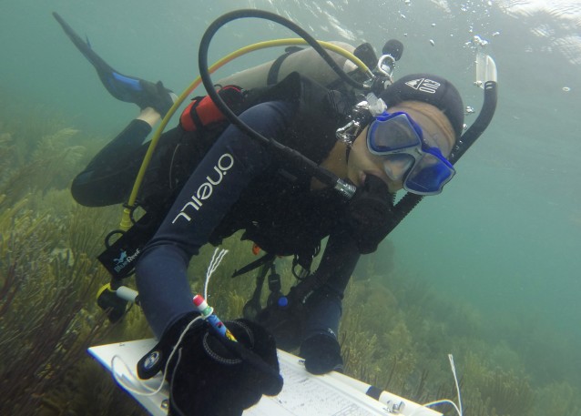 In this Tuesday, July 22, 2014 photo, biologist Vanessa McDonough dives on a reef to record the number of fish spotted in Biscayne National Park, Fla. CREDIT: AP Photo/Lynne Sladky