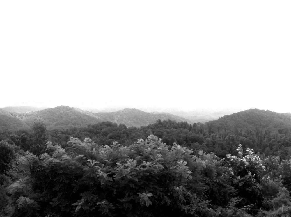 CREDIT: JACK JENKINS