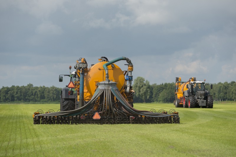 CREDIT: SHUTTERSTOCK