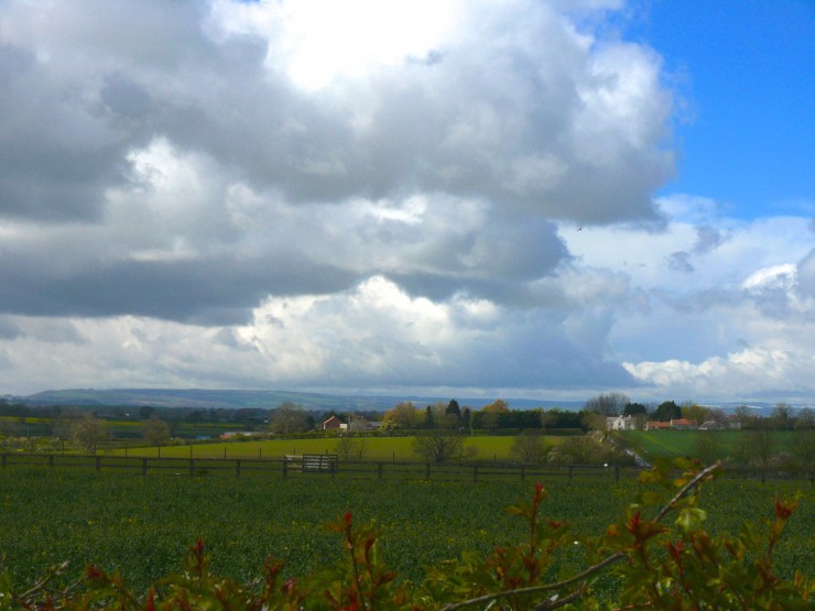 The countryside surrounding Kirby Misperton is dotted with small farms. CREDIT: Samantha Page/ThinkProgress