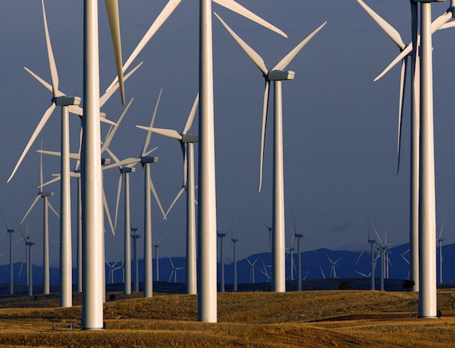 CREDIT: Matt Young, AP