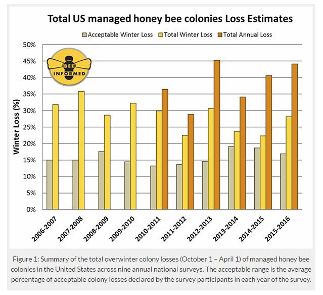 CREDIT: Bee Informed Partnership