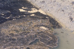 Shoreline of Huntington Beach after a spill CREDIT: Shutterstock