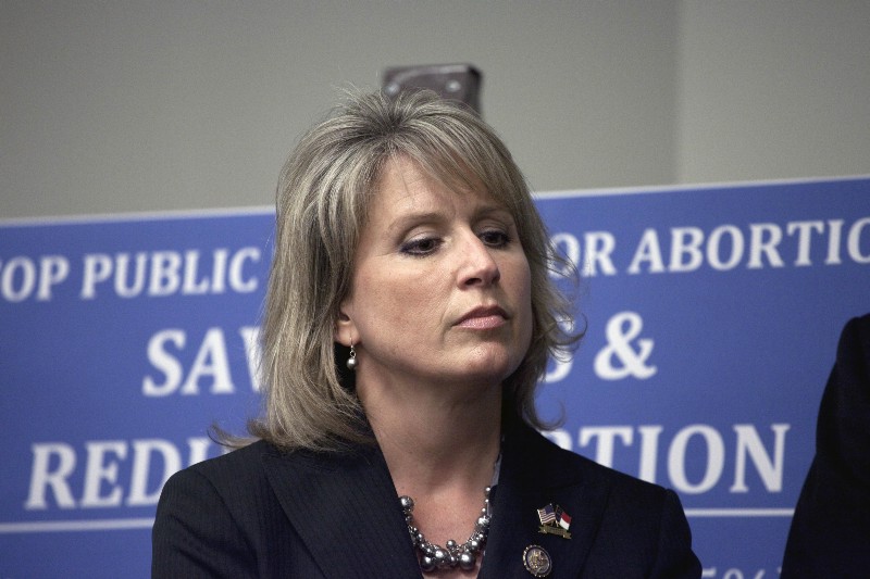 Rep. Renee Ellmers (R-NC) CREDIT: AP PHOTO/HARRY HAMBURG