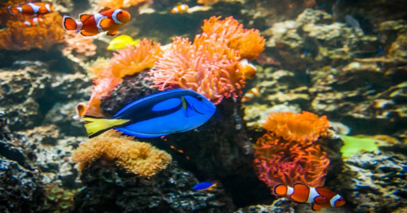 CREDIT: SHUTTERSTOCK