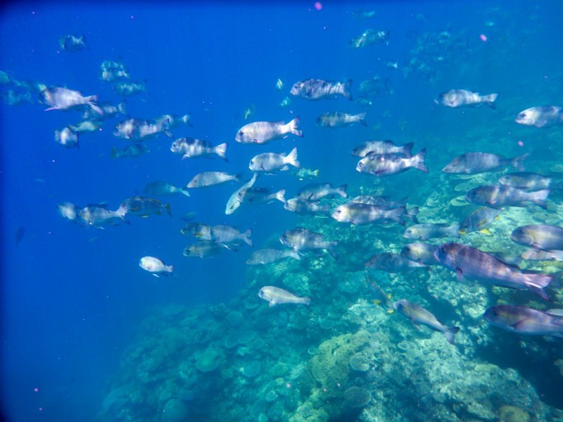 CREDIT: Flickr/Allan Leonard