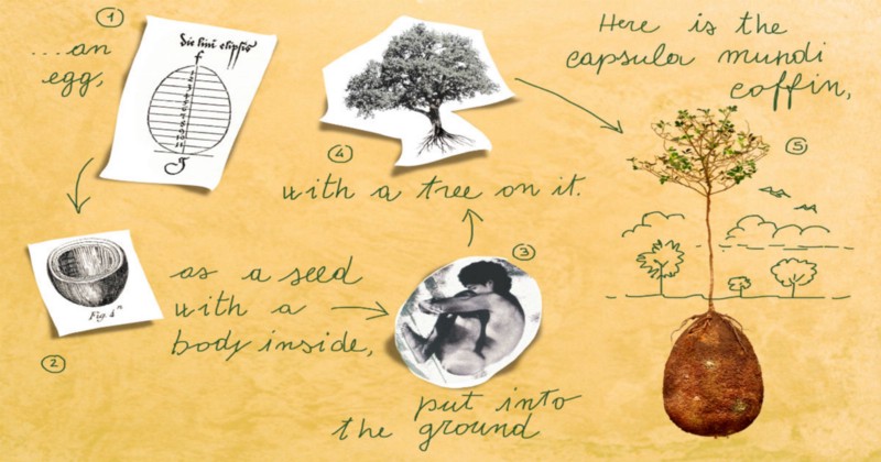 CREDIT: CAPSULA MUNDI