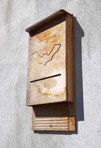 CREDIT: Shutterstock