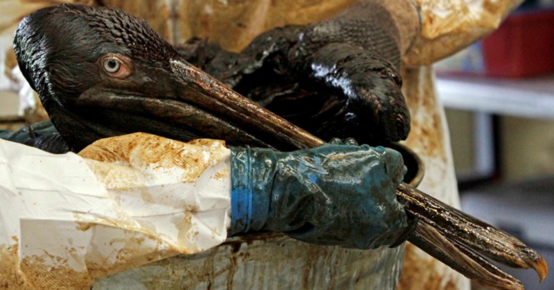 CREDIT: AP PHOTO/BILL HABER