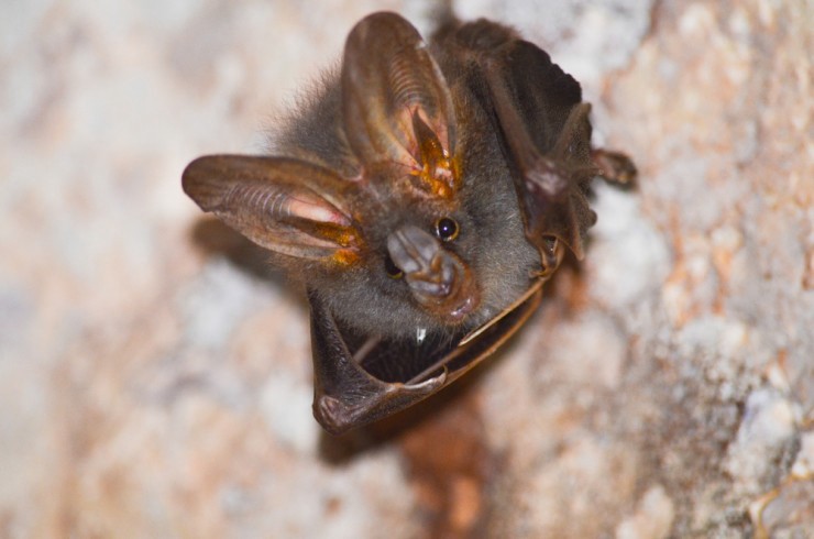 CREDIT: Shutterstock