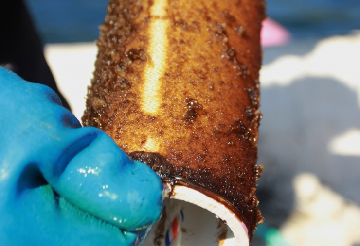 A spool holding twine covered with young kelp. CREDIT: AP Photo/Manuel Valdes