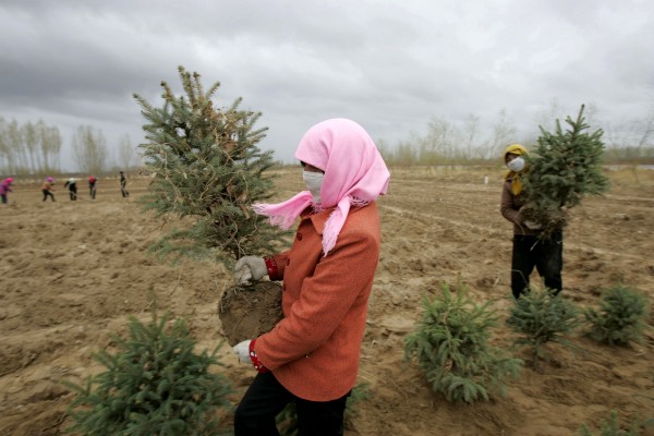 Villagers plant trees in Minqin County, China’s Gansu province in 2007. CREDIT: AP/COLOR CHINA PHOTO