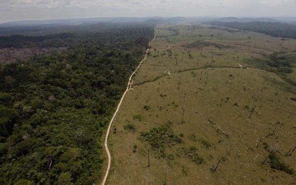 Deforestation in Brazil. CREDIT: AP/ANDRE PENNER