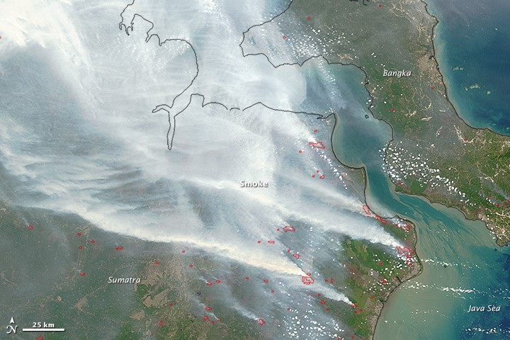 Smoke map of the Indonesia fires of late 2015. CREDIT: HARVARD UNIVERSITY