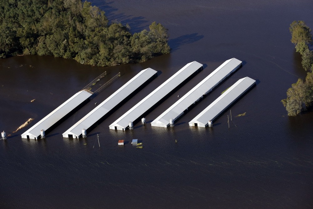 Aerial images of hog farms either flooded (above) or threatened by rising waters. CREDIT: Rick Dove, Waterkeeper Alliance
