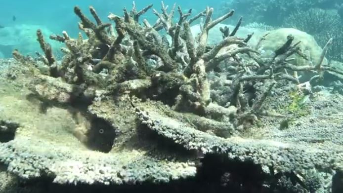 CREDIT: Climate Council