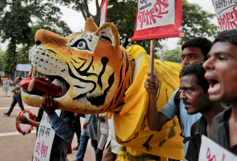 Bangladeshi protesters hold placards and a tiger effigy during an August protest against the proposed Rampal power plant. The plant will be near the Sundarbans, home to the world’s only population of mangrove forest tigers. CREDIT: AP Photo/A.M. Ahad