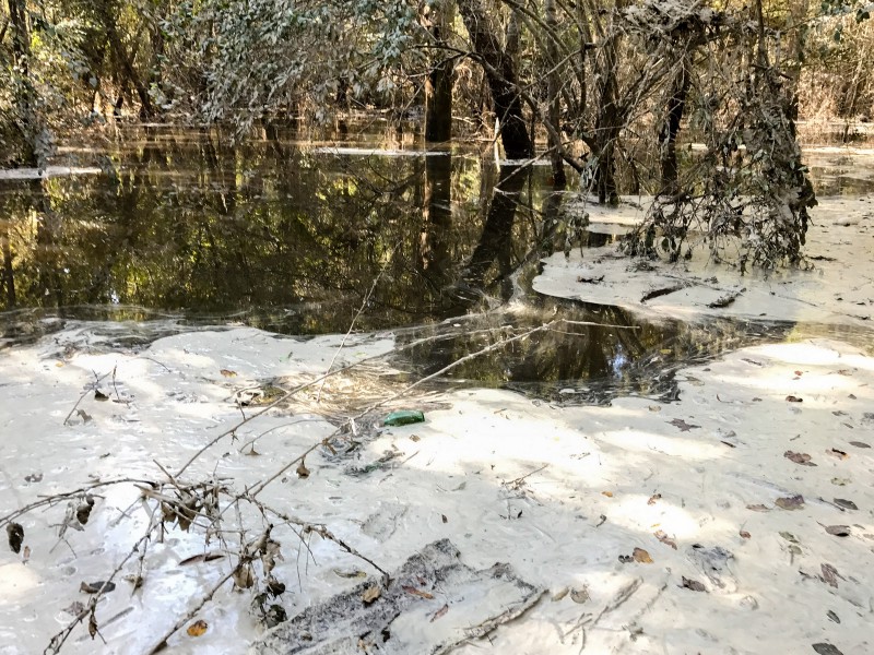 An substantial but undetermined amount of coal ash was found floating on the surface of the Neuse River in a layer more than an inch thick. CREDIT: Pete Harrison, Waterkeeper Alliance & Matt Starr, Upper Neuse Riverkeeper/Sound Rivers