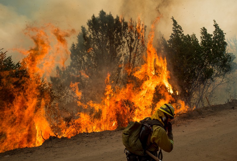 A firefighter covers his face while battling a wildfire near Morgan Hill, CA. CREDIT: AP/Noah Berger