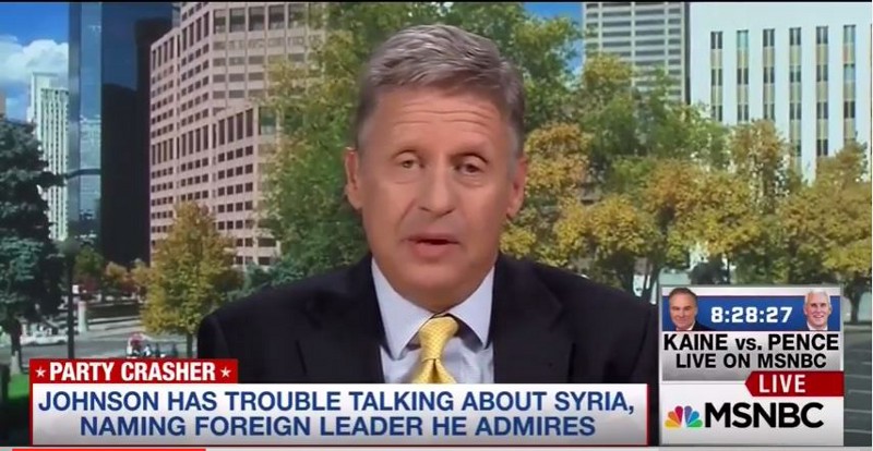 Libertarian Party nominee Gary Johsnon CREDIT: MSNBC