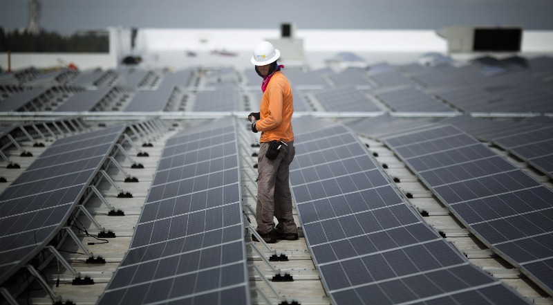 CREDIT: AP/J Pat Carter