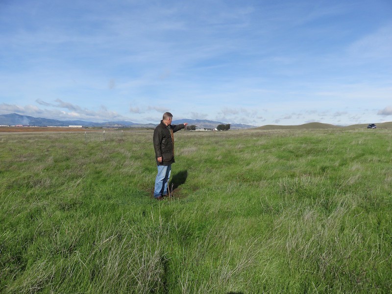Steve Kohlmann pictured at Rush Ranch in Solano County, Calif. CREDIT: Robyn Purchia