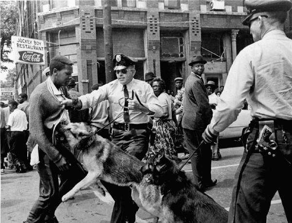 Alabama police sick attack dogs on a civil rights activist who is young enough to still be alive today. CREDIT: AP Photo/Bill Hudson