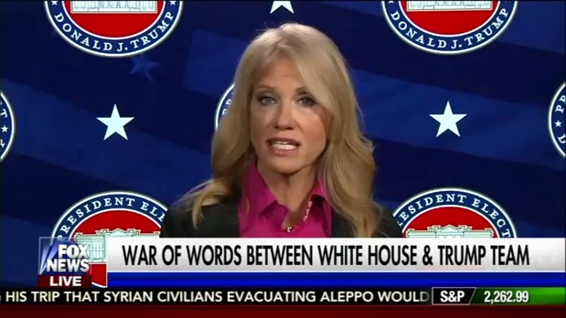 Kellyanne Conway CREDIT: Fox News Channel
