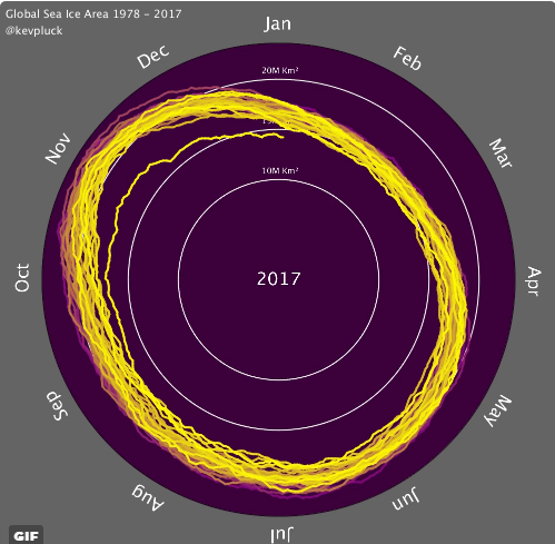 A new animation (below, in motion) shows a precipitous decline in global sea ice CREDIT: Kevin Pluck