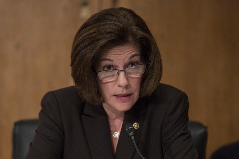 CREDIT: AP Photo/Zach Gibson