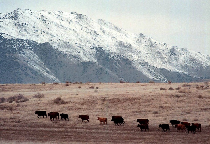 Public land use is still managed by a 1983 planning process. CREDIT: AP Photo/David Hunter