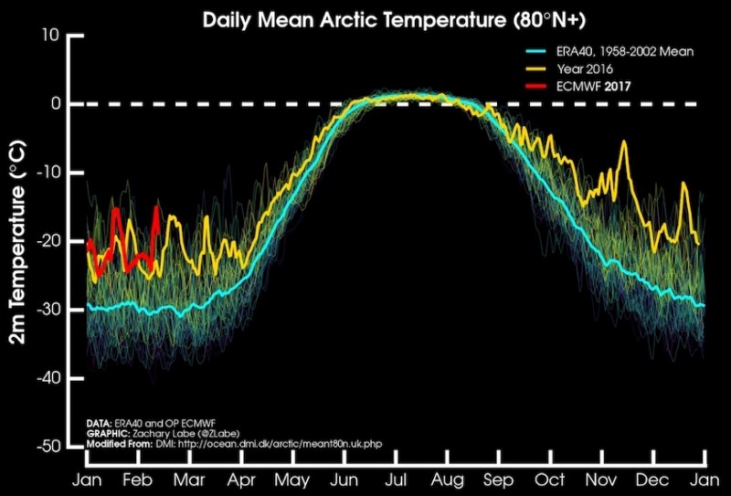 Air temperatures north of 80 degrees latitude for 2017 (red), compared to 2016 (yellow), and the long-term average (blue). Credit: Zack Labe/ Danish Meteorological Institute