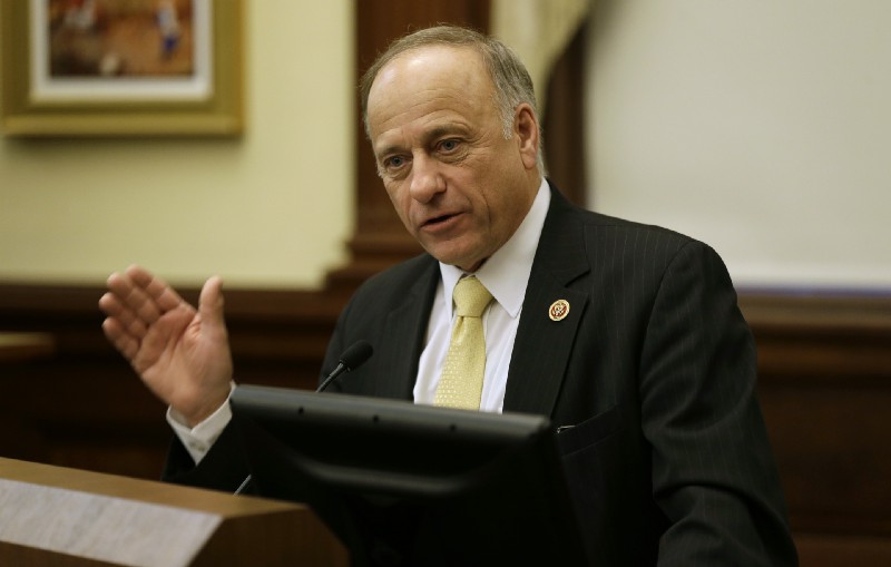 Rep. Steve King (IA) CREDIT: AP Photo/Charlie Neibergall