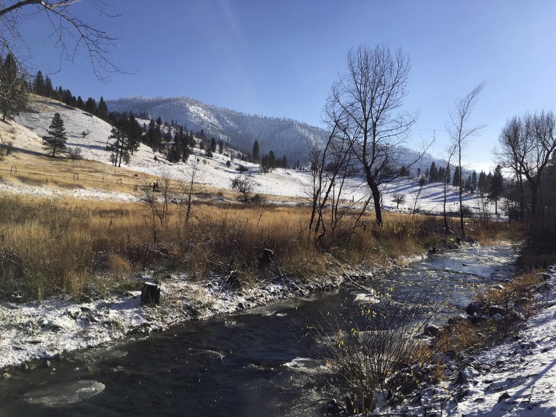 A creek flows out of the Malheur National Forest near John Day, Oregon. CREDIT: AP Photo/Andrew Selsky