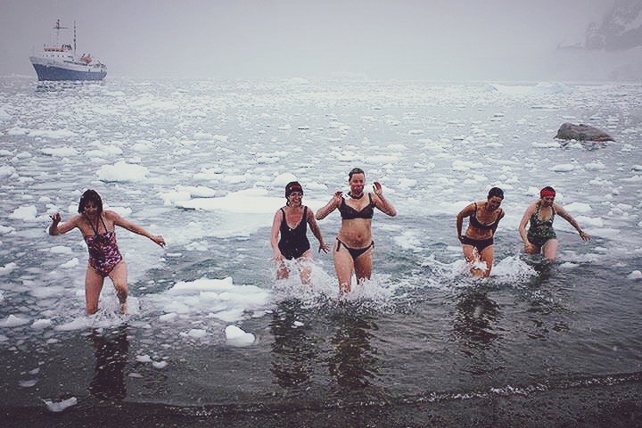The polar plunge at Neko Bay. CREDIT: Sarah Brough