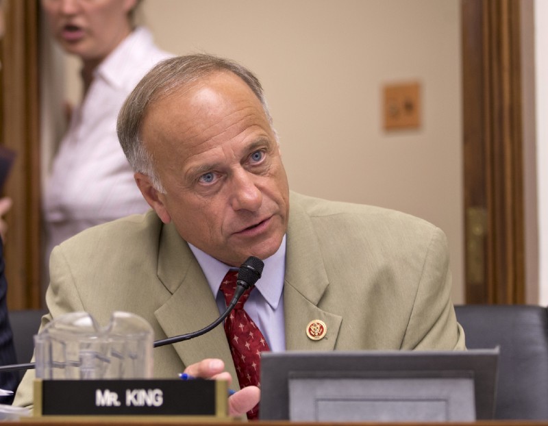 Rep. Steve King speaks on Capitol Hill in Washington, July 24, 2013. CREDIT: AP Photo/J. Scott Applewhite, File