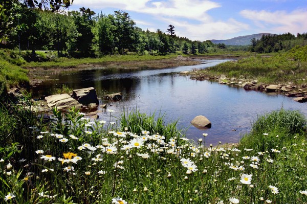 Acadia National Park CREDIT: AP Photo/Pat Wellenbach,
