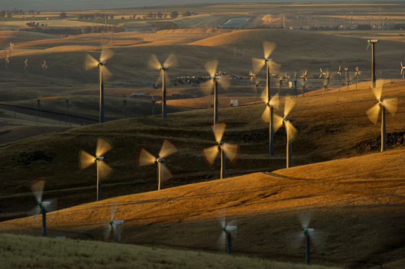 Wind turbines in California. CREDIT: AP/Noah Berger, File