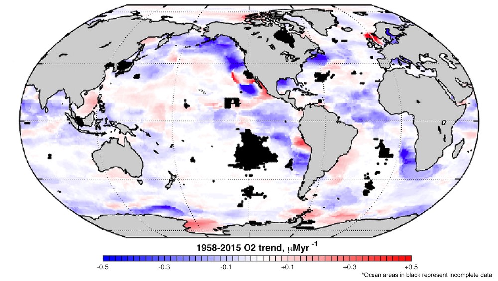 Much of the ocean is seeing sharp drops in oxygen levels (purple). CREDIT: Georgia Tech