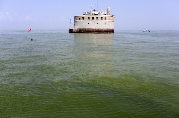 The water intake facility for the city of Toledo, Ohio, is surrounded by an algae bloom on Lake Erie in 2014. The Great Lakes Restoration Initiative program has funded work in Ohio to slow down Lake Erie’s toxic algae. CREDIT: AP Photo/Haraz N. Ghanbari,