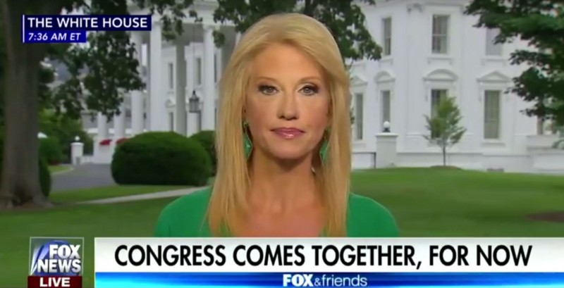 CREDIT: Fox News screengrab