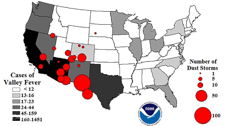 Dust storms spike with Valley fever cases. The largest number of dust storms from 1988 to 2011 are concentrated in the SW states reporting the highest numbers of fever cases.