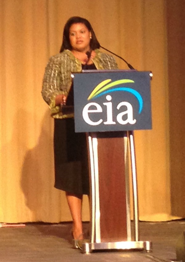 FERC Commissioner Colette Honorable. CREDIT: Mark Hand/ThinkProgress