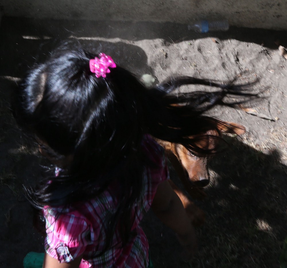 A 2-year-old Santa Ana girl twirls in her front yard while playing with her dog and creates a cloud of dust. Soil that contains lead particles is dangerous for children who play in the dirt because it can become aerosolized and then inhaled. ThinkProgress found elevated levels of soil lead in the front and back yards of this home in northwest Santa Ana. CREDIT: Daniel A. Anderson for ThinkProgress