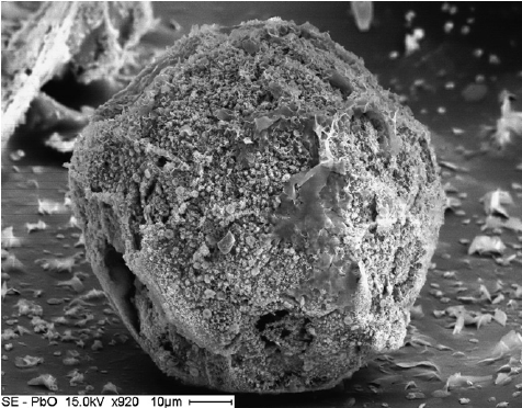 an individual lead oxide particle in sand CREDIT: Institute of Terrestrial Ecology