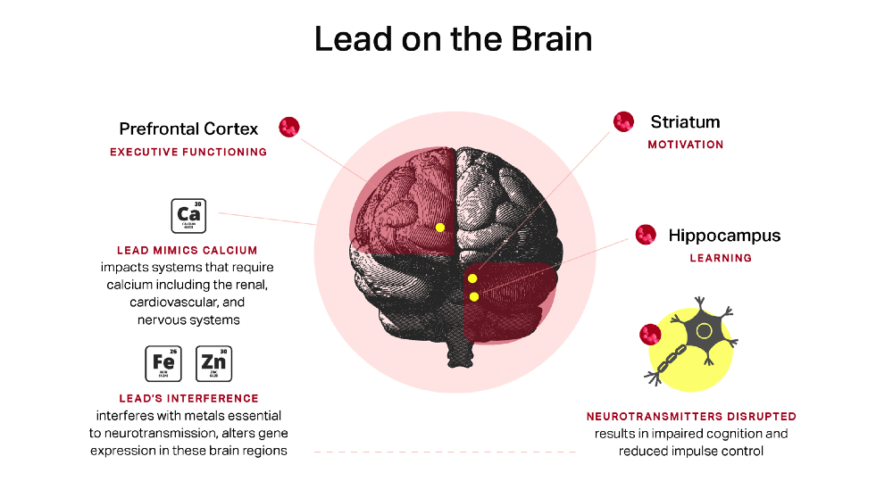 Diana Ofosu / ThinkProgress